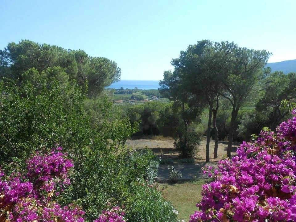 Villa Conti Residence Lacona Exteriér fotografie