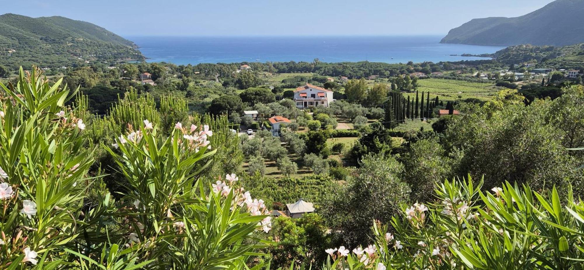Villa Conti Residence Lacona Exteriér fotografie